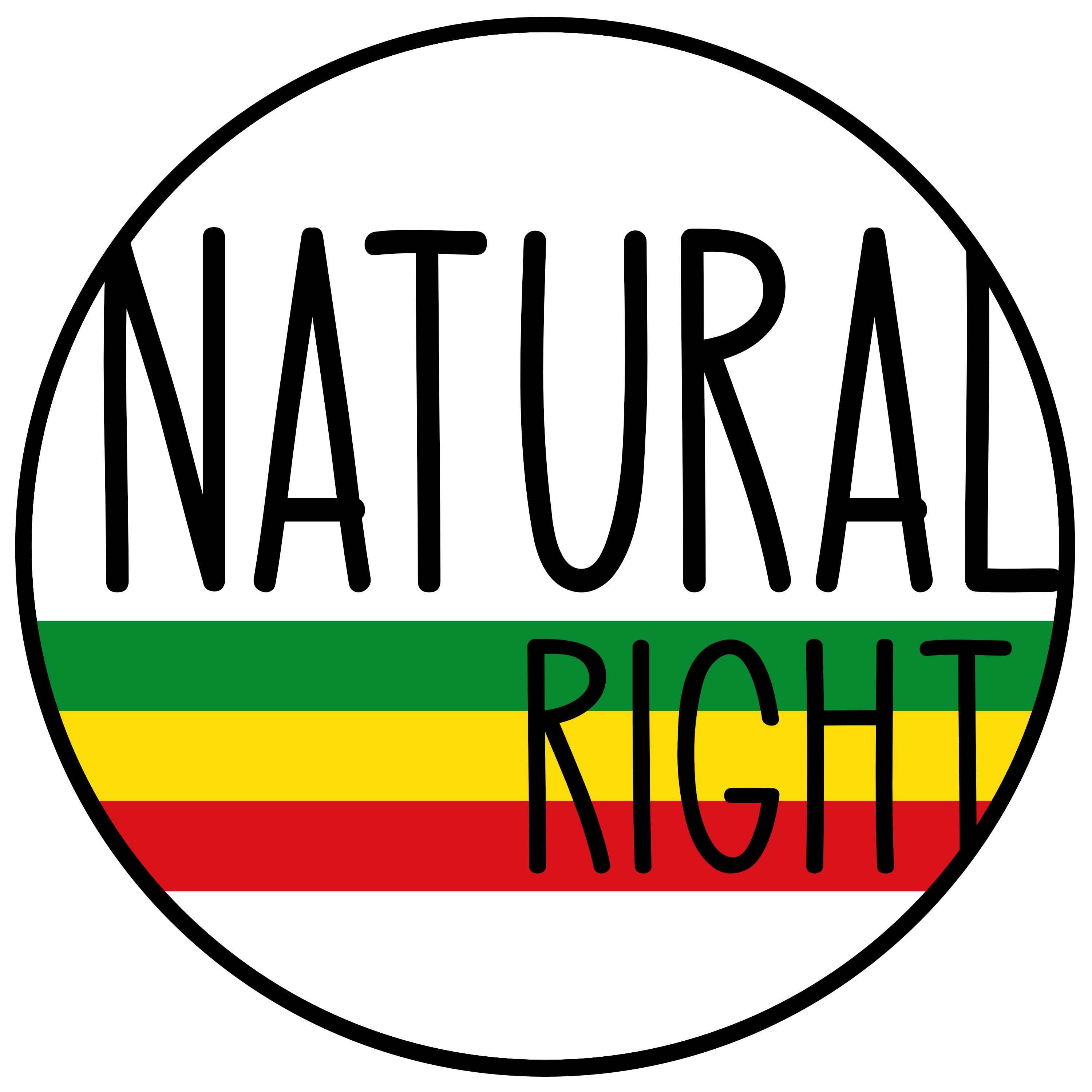 Natural Right artist photo